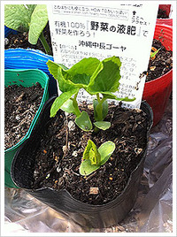 2011年06月08日