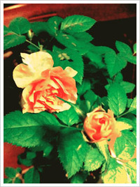 2011年08月28日