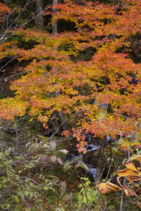2011年10月21日