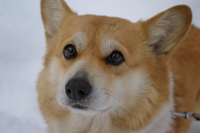 2009年01月20日