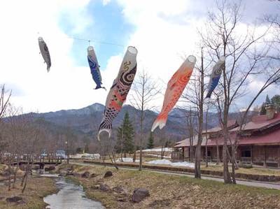 ２０１７年も元気に鯉のぼりが泳いでいます