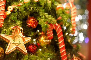 エレガンス講座「クリスマスフラワーアレンジ」のご案内
