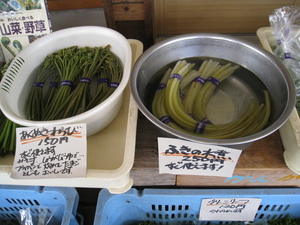 有機野菜市、本日のお値打ち商品ご紹介