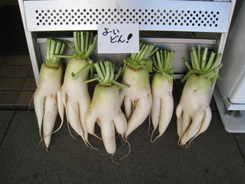 野菜市