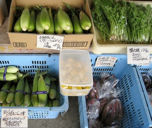 今日はトウモロコシいかがですか（野菜市４時まで）