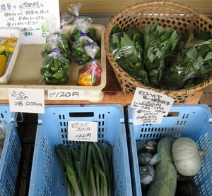 今日はトウモロコシいかがですか（野菜市４時まで）