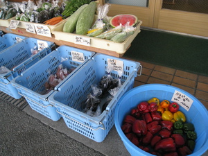 ミニトマト・ピーマン詰め放題やってます（金曜野菜市）