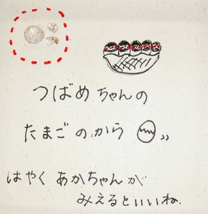 つばめの子育て2017（その１）