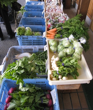 野菜市やってます！