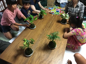 寺子屋かんかこかん 苔玉つくり
