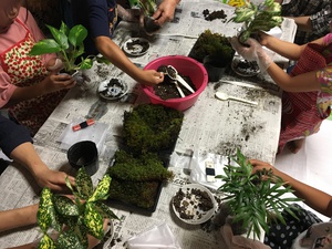 寺子屋かんかこかん 苔玉つくり
