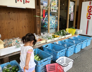 今日はとれたて野菜市やっています♪