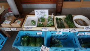金曜野菜市