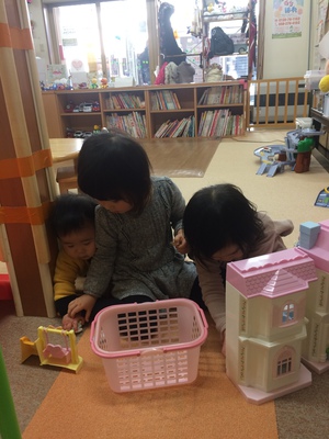 今日から大寒ですね。