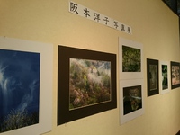 奥飛騨の四季☆写真展 ｉｎ 彩り館 2018/02/20 09:18:30
