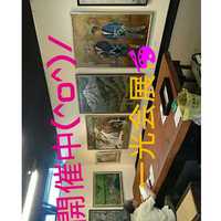 彩り館　展示会開催！！ 2019/07/02 10:51:32