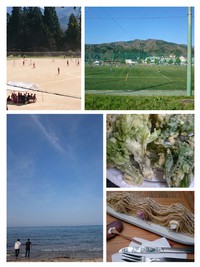 柳組　今日も頑張ります！ 2019/05/09 10:16:05