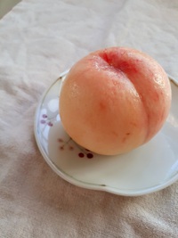 取りあえずの自家製桃パフェ・・・というにはおこがましいけど( ´艸｀)