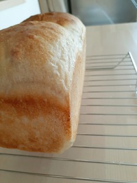 何度でも、何度でも　そして落とし前(・∀・)