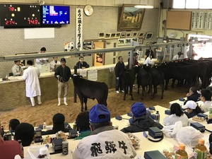 子牛せり市には飛騨高山高校も 西本やすてる後援会