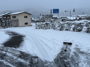 子育て世帯負担軽減給付金など