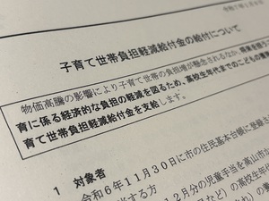 子育て世帯負担軽減給付金など