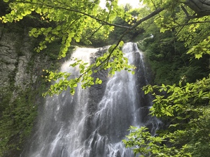 久々の乗鞍山麓五色ヶ原の森 西本やすてる後援会