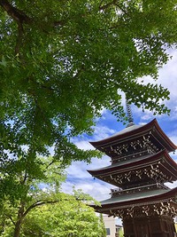 明日はひだ国分寺八日市 2021/10/07 14:08:44