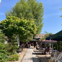明日はひだ国分寺八日市