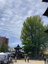 5月の八日市ありがとうございました 2022/05/08 16:37:04