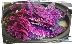 バイオレット白菜