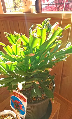 ☆毎日の声かけ♪