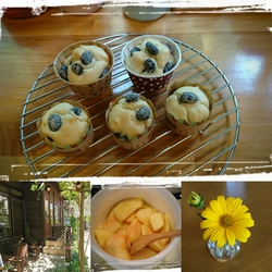 ♪ymama cafe♪