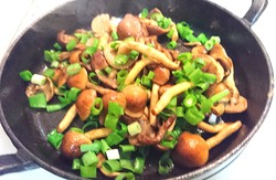 ☆大粒なめこ〜の