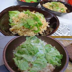 レタス♪レシピ