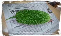 初・ごうや♪