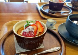 癒しの時間