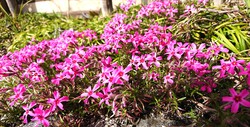 ☆4月から♪