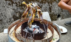 BBQ