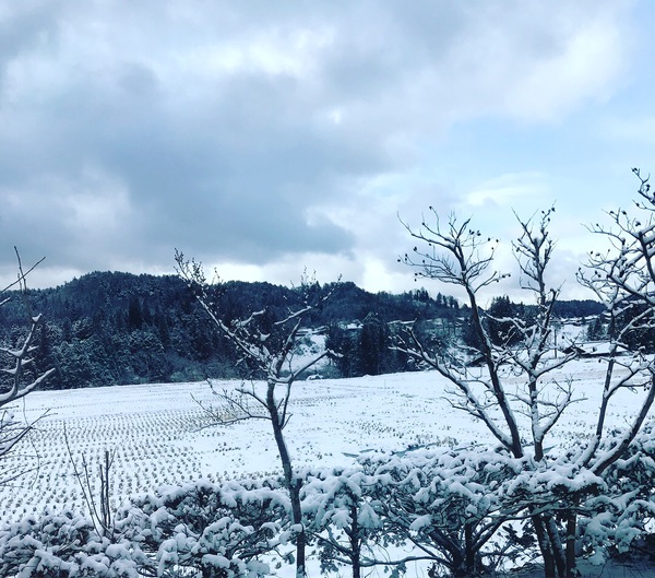 バランスボール in 高山