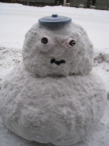 雪が降る