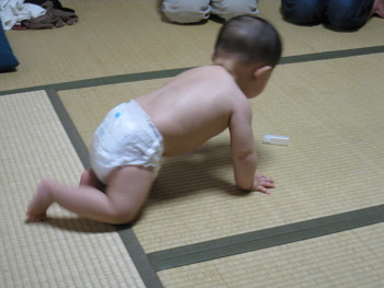 赤ちゃんがいっぱい！