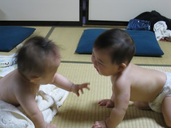 赤ちゃんがいっぱい！