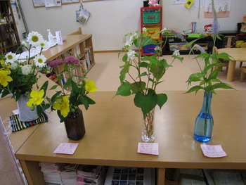 植物園！？