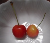 さくらんぼ☆