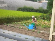 次男・・・・お百姓さん☆