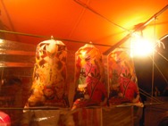 宵祭り☆