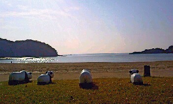 うしろから  横から、前から