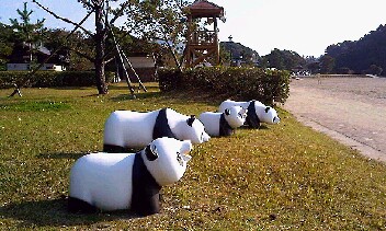 うしろから  横から、前から