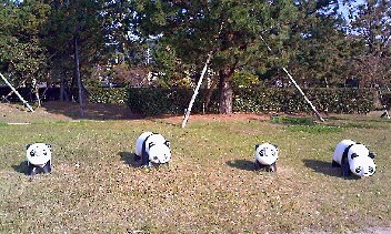 うしろから  横から、前から